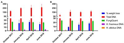 Fungal succession in decomposing ash leaves colonized by the ash dieback pathogen Hymenoscyphus fraxineus or its harmless relative Hymenoscyphus albidus